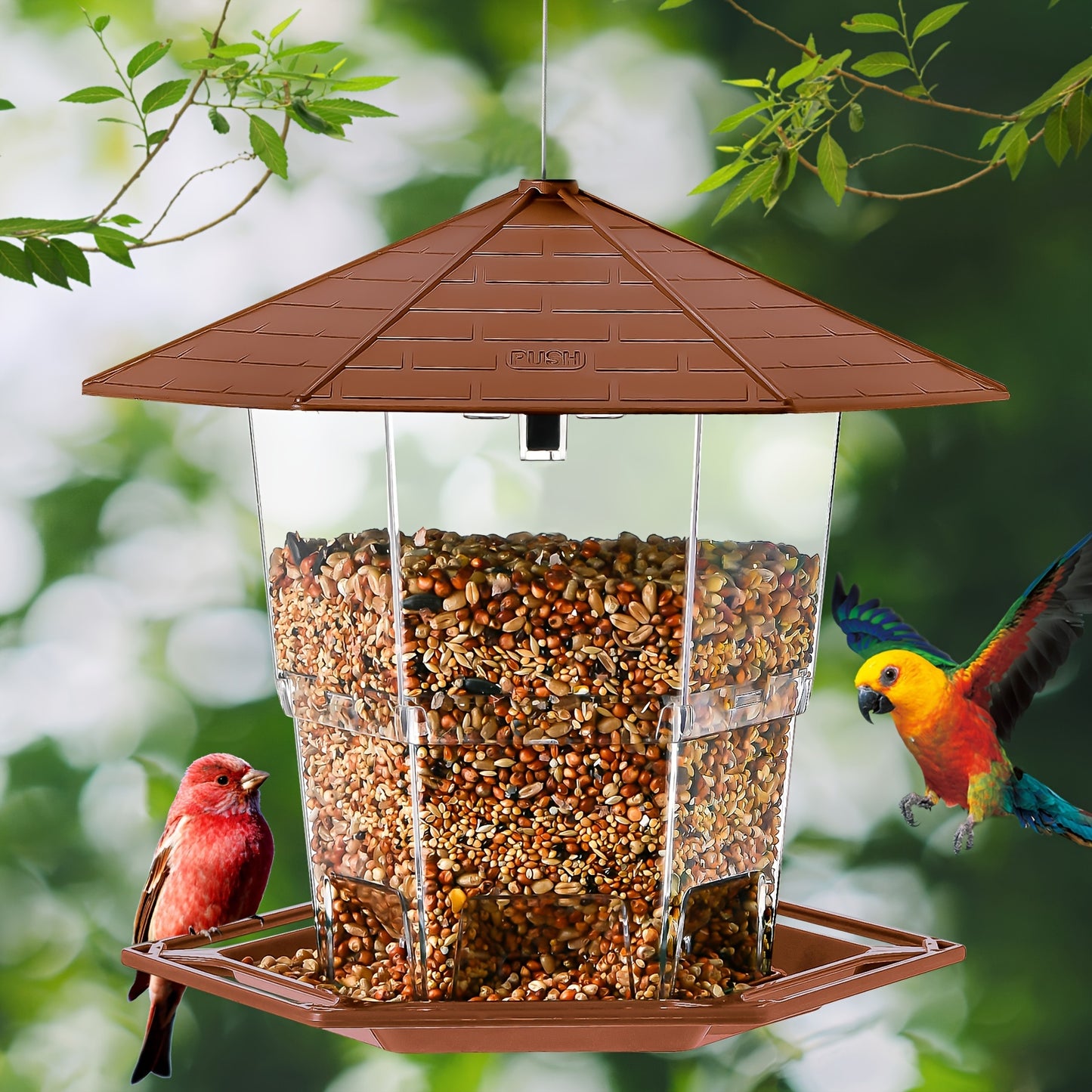Heavy-Duty Plastic Bird Feeder with Clear Tubes and Dome