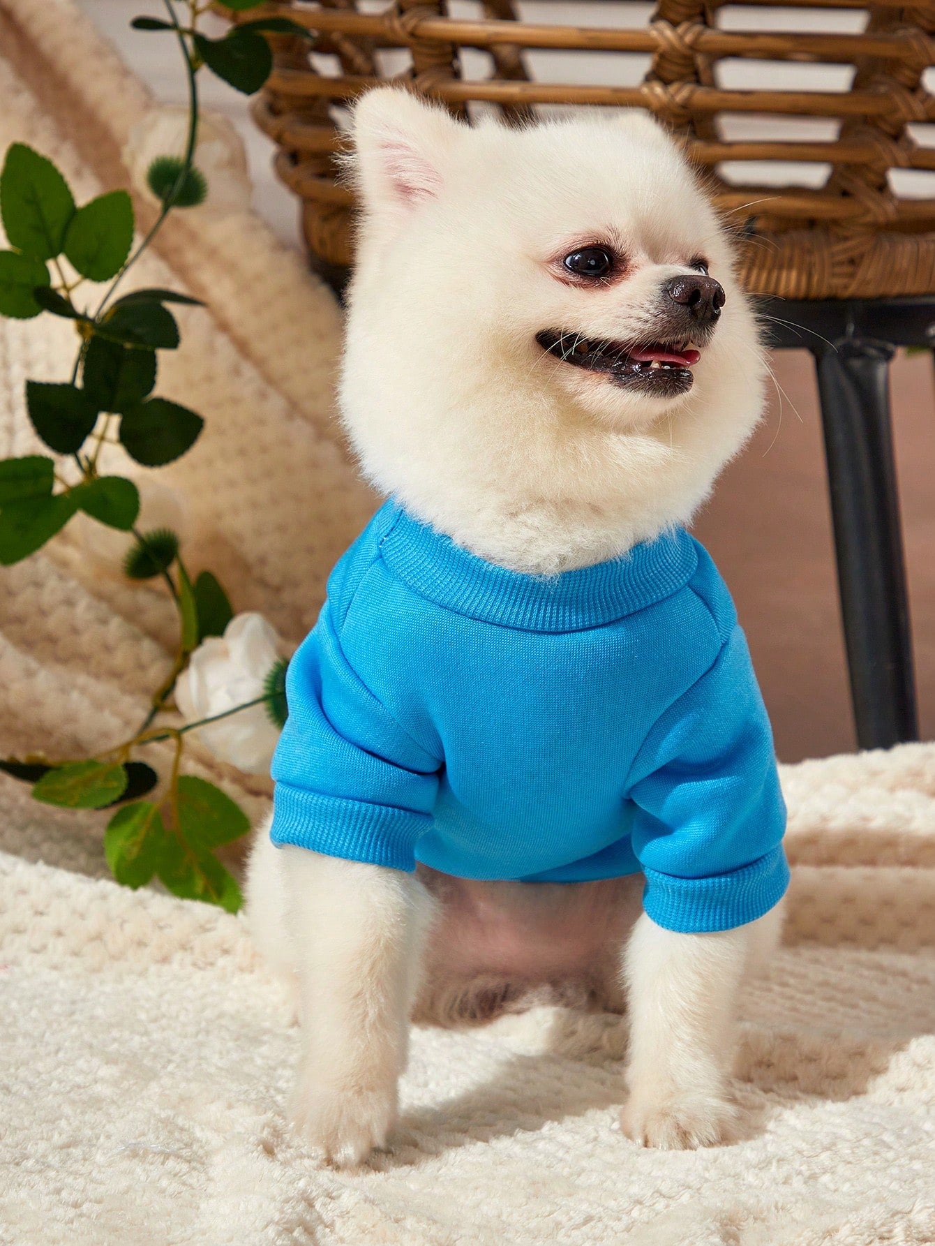 Blue King Crown Patterned Pet Sweatshirt No Hood Winter