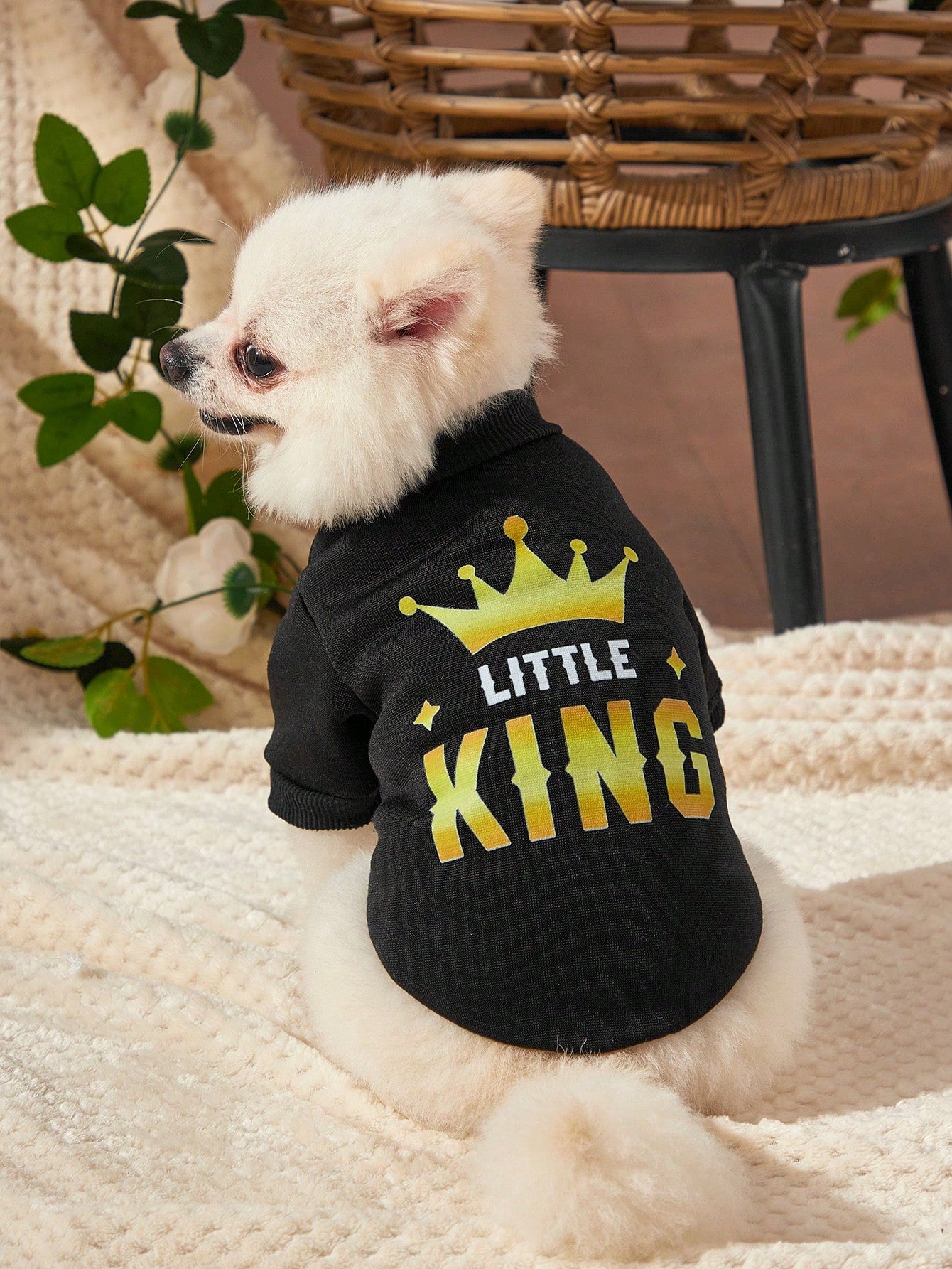 Debiesn Retro Street Black Pet Sweatshirt with Crown King Print – Warm Cozy Outfit