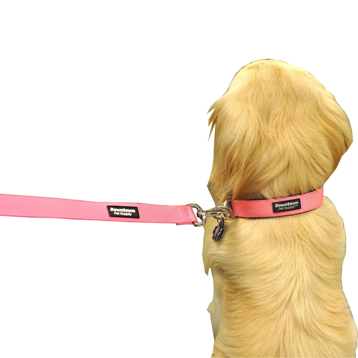 Dog Collars for Large Dogs Padded Dog Collar Red, XL