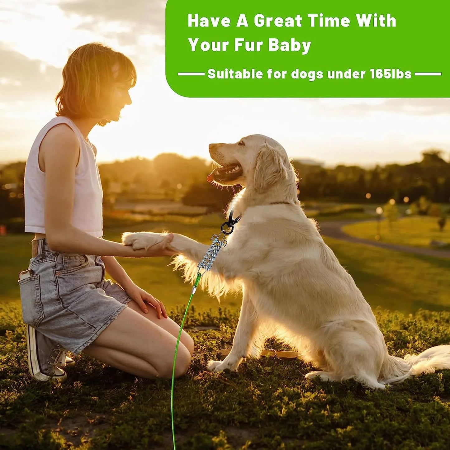 Dog Tie Out Cable 10/15/20/25/30 FT Dog Runner for Yard Steel Wire Dog Cable with Durable Superior Clips Green Dog Chains Heavy Duty for outside Hold Large Dogs up to 165 Lbs