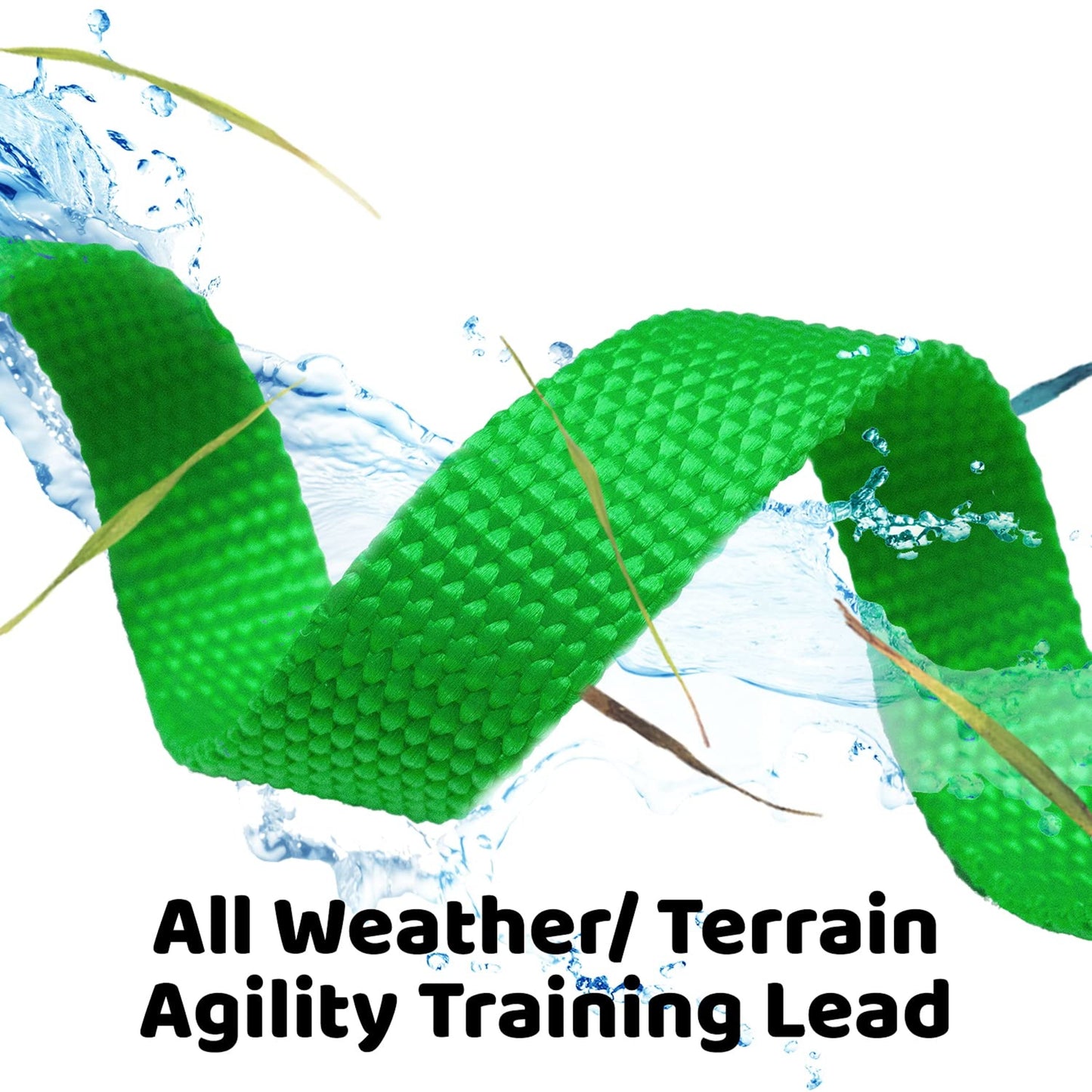 Long Lead Leash for Dog Training, Green, 15' Dog Leash