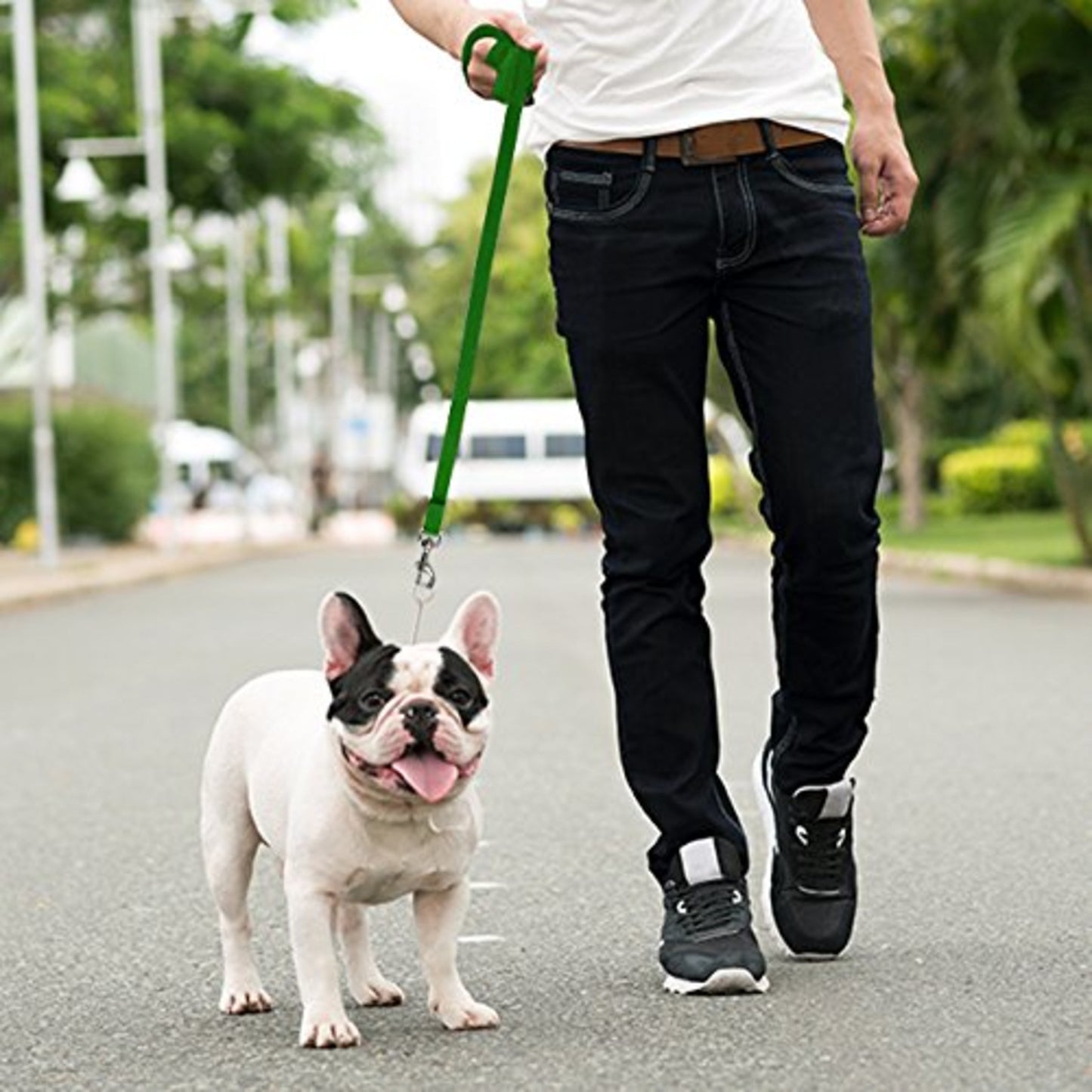 Long Lead Leash for Dog Training, Green, 15' Dog Leash