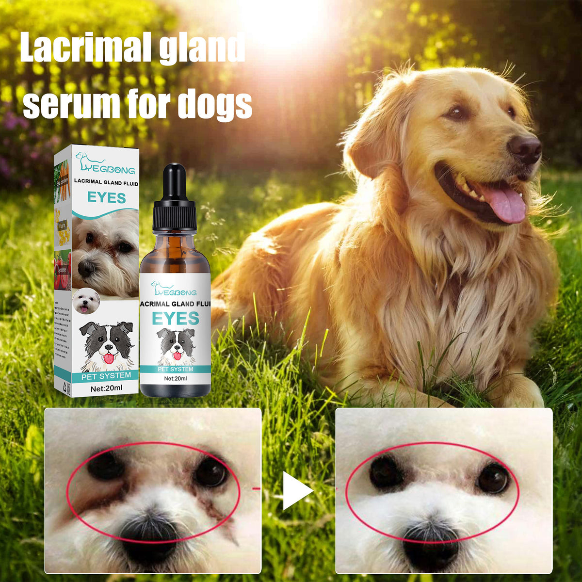 Yegbong Tear Duct Serum For Dogs, Cats And Dogs Removal Eye Poop Pet Topical Eye Tear Stain Serum
