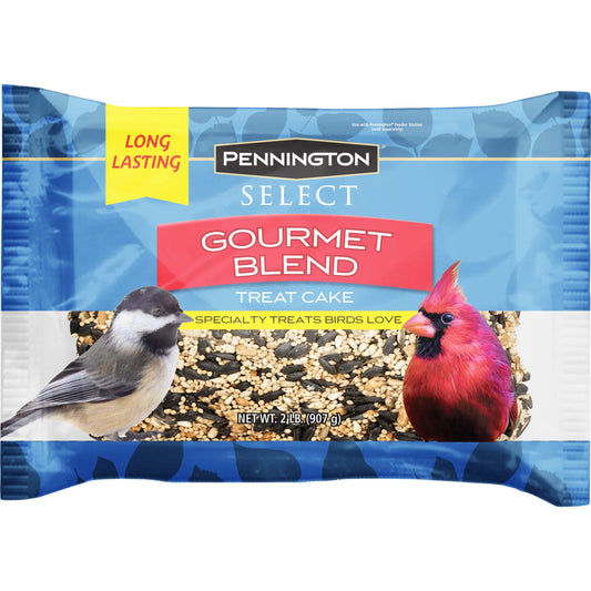 (2 Pack)  Premium Gourmet Wild Bird Seed Cake, 2 Lb., 1 Pack, Dry