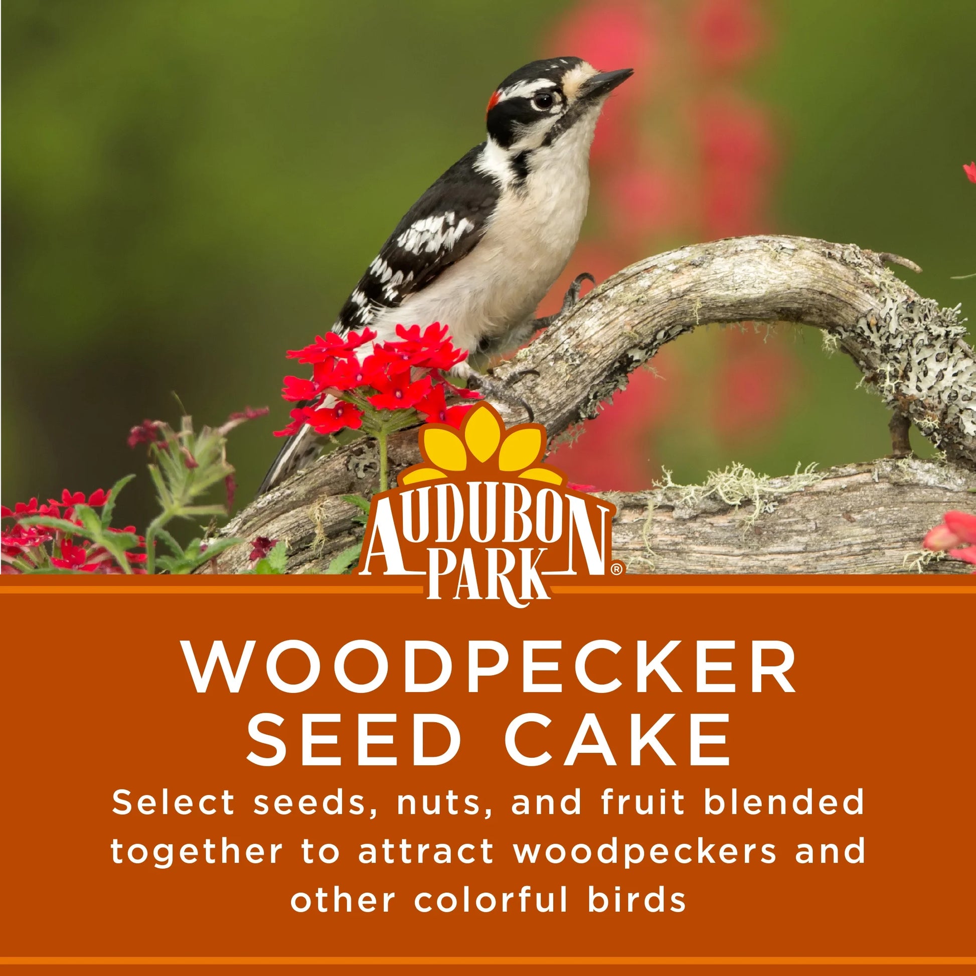 (2 Pack)  Woodpecker Seed Cake Wild Bird Food, Pressed Seed Block, 24 Oz.