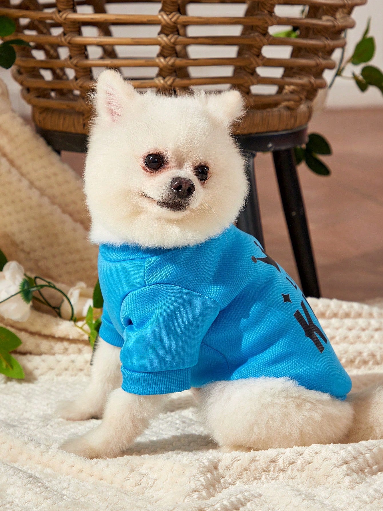 Blue King Crown Patterned Pet Sweatshirt No Hood Winter