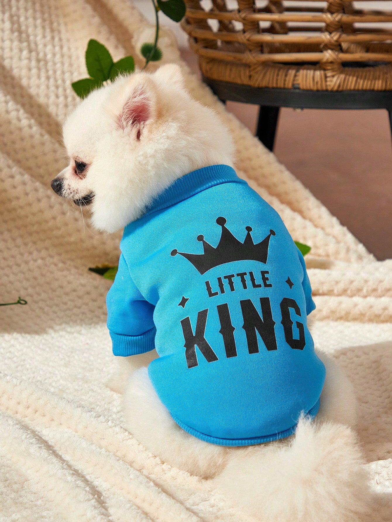 Blue King Crown Patterned Pet Sweatshirt No Hood Winter