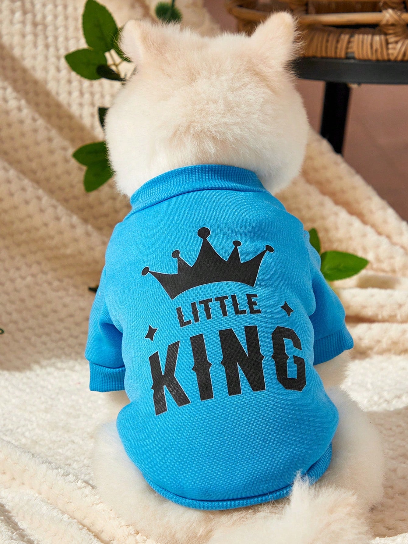 Blue King Crown Patterned Pet Sweatshirt No Hood Winter