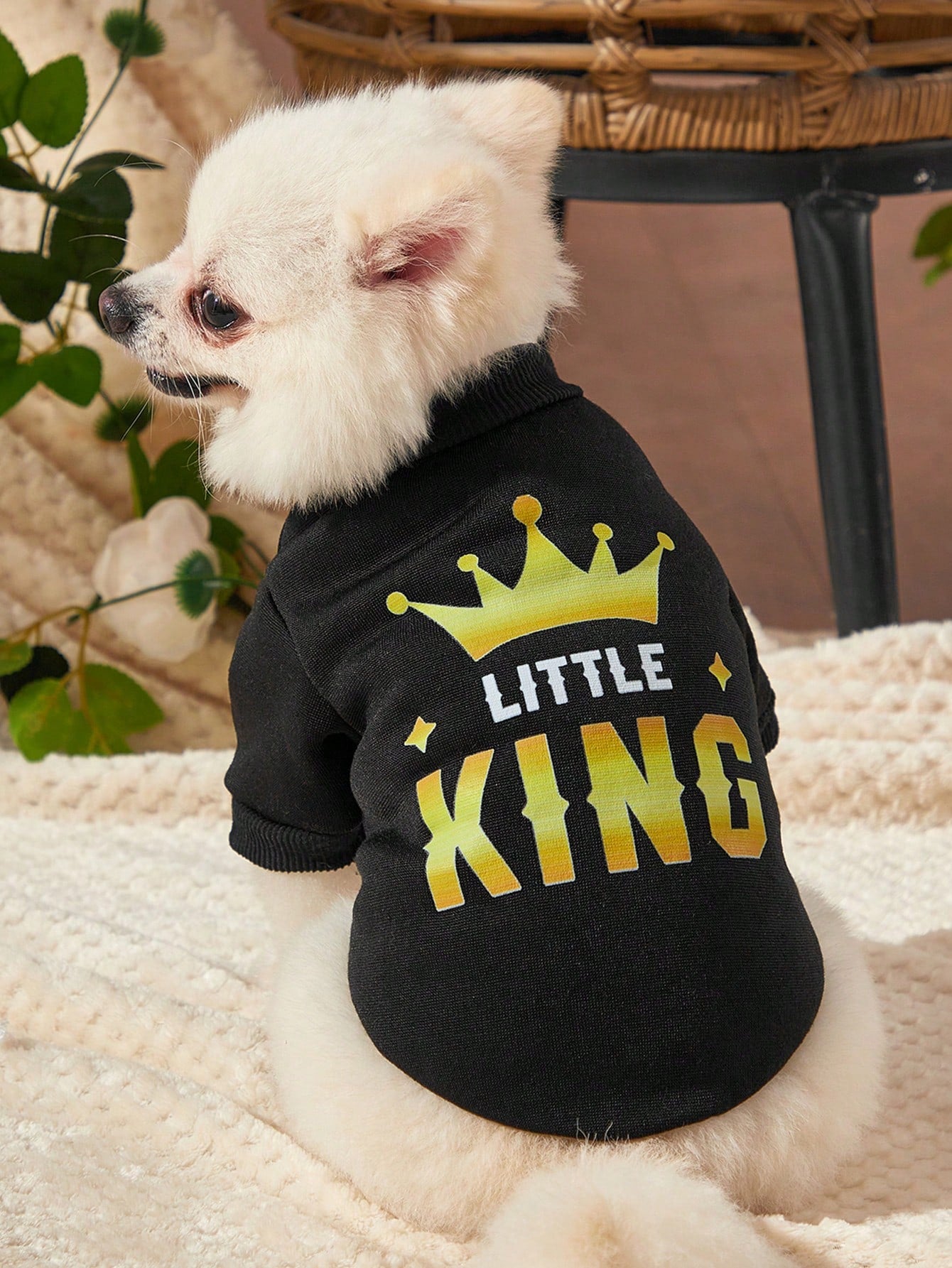 Debiesn Retro Street Black Pet Sweatshirt with Crown King Print – Warm Cozy Outfit