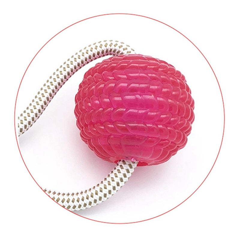 Interactive fun Pet toy with suction cup dog push toy with TPR ball Pet Tooth Cleaning,Chewing,Playing, IQ Treat Ball Puppy Toys