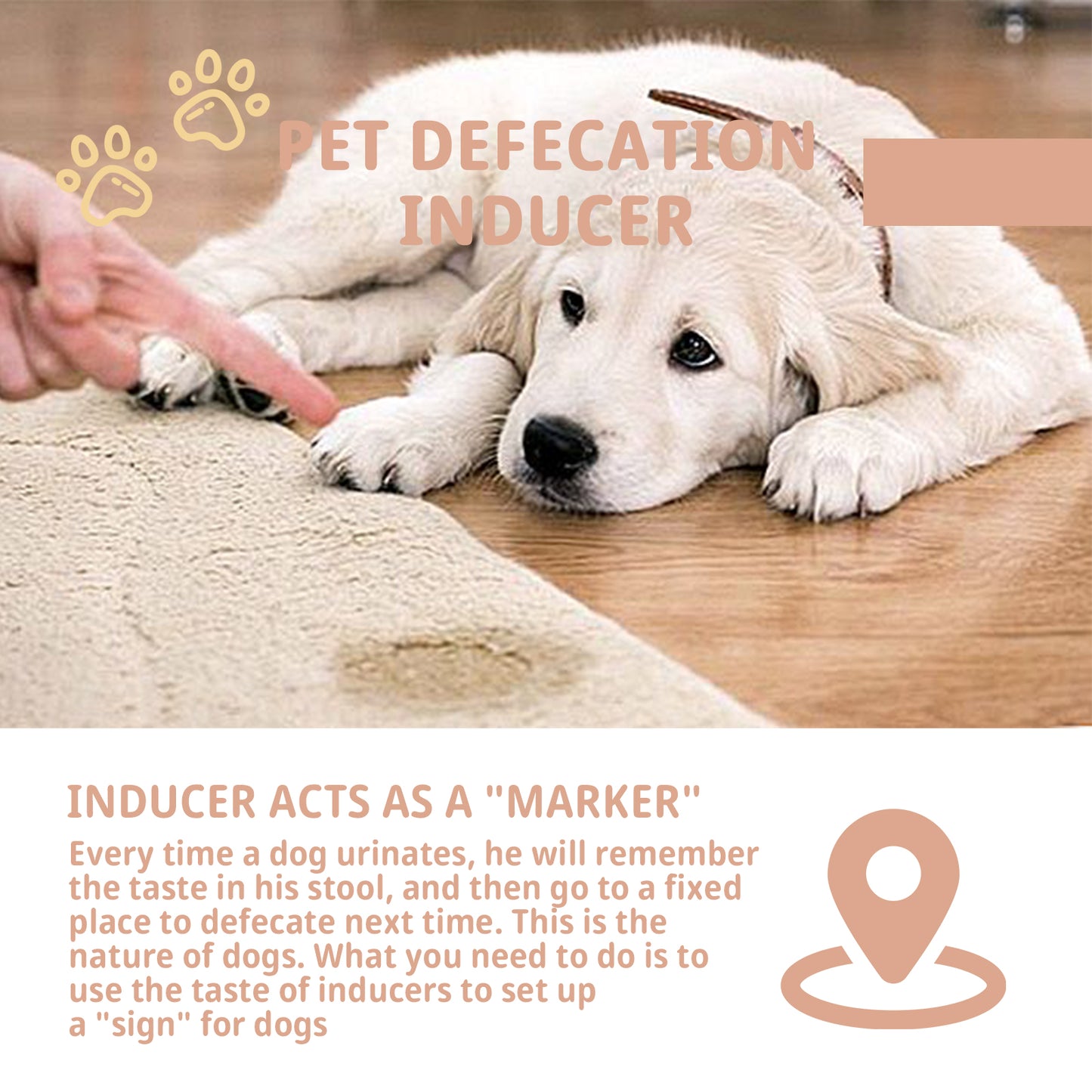 Pet Defecation Inducer Spot-Training Induction Spray Pet Toilet Inducer