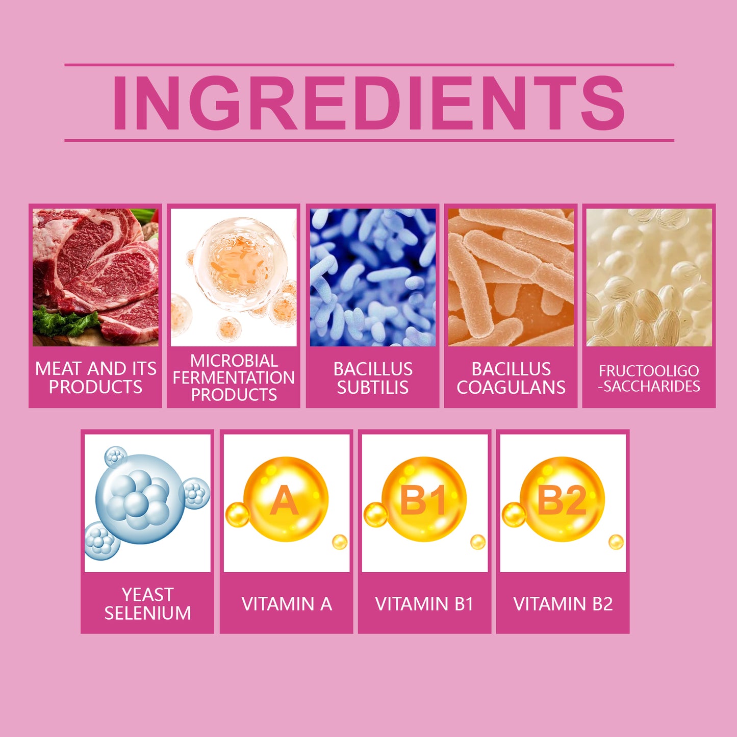 Dog Probiotic Tablets To Improve Intestinal Health, Balance Digestion And Absorption Of Pet Nutritional Supplements