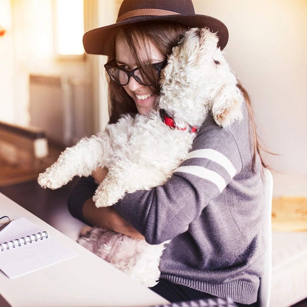 BestPet Pink Foldable Pet Stroller for Dogs & Cats