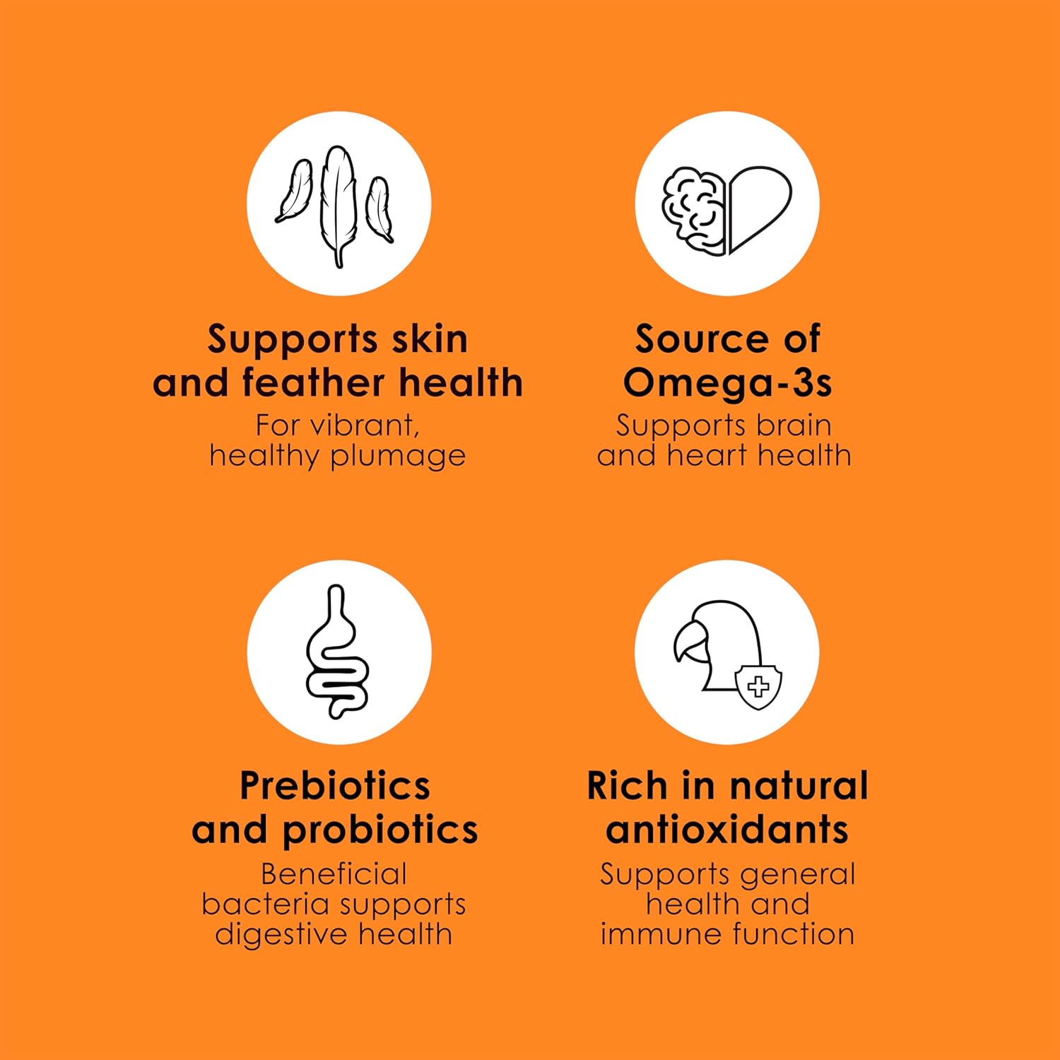 Kaytee Fiesta Conure Food Nutritious Fun Blend for Healthy Feathers