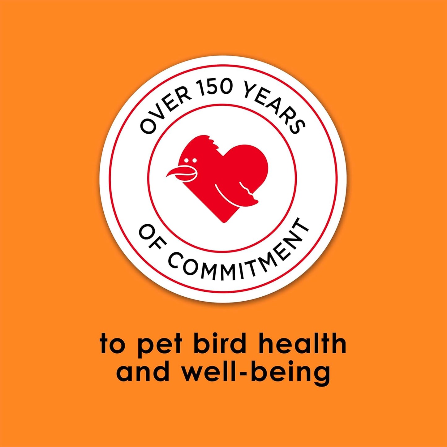 Kaytee Fiesta Conure Food Nutritious Fun Blend for Healthy Feathers