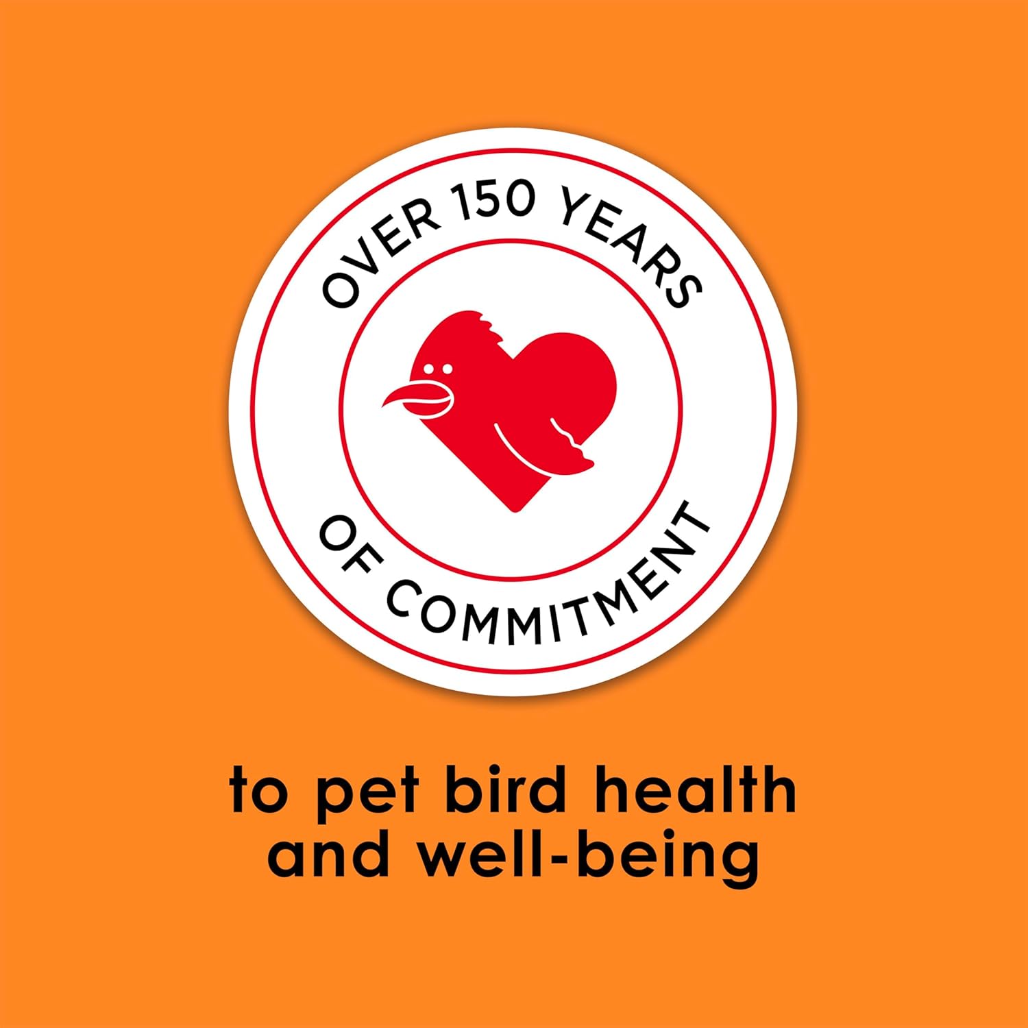 Kaytee Fiesta Conure Food Nutritious Fun Blend for Healthy Feathers