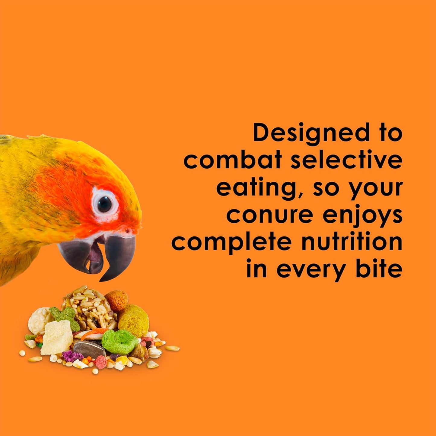 Kaytee Fiesta Conure Food Nutritious Fun Blend for Healthy Feathers