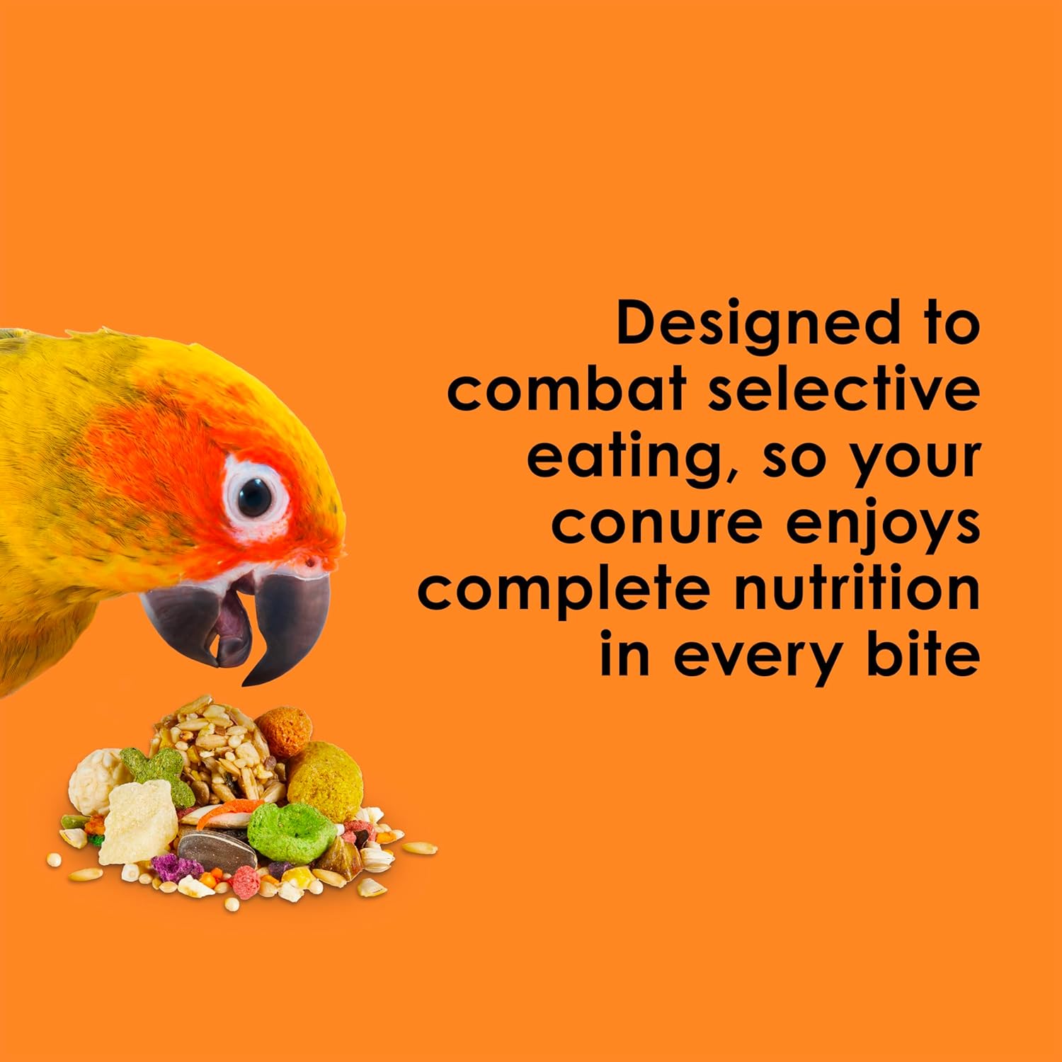 Kaytee Fiesta Conure Food Nutritious Fun Blend for Healthy Feathers