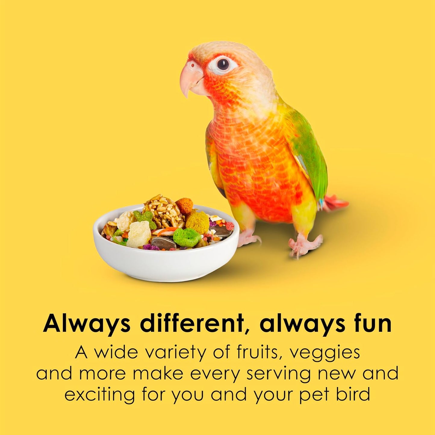 Kaytee Fiesta Conure Food Nutritious Fun Blend for Healthy Feathers