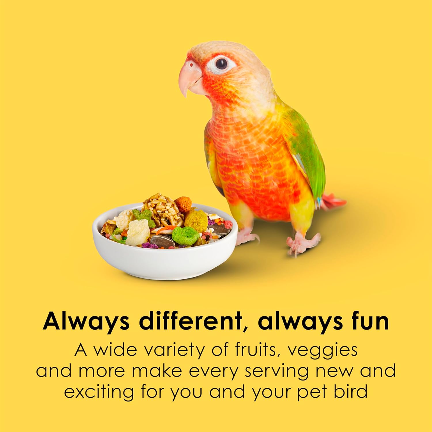 Kaytee Fiesta Conure Food Nutritious Fun Blend for Healthy Feathers