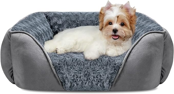 INVENHO Orthopedic Washable Rectangle Dog Bed for Small Dogs