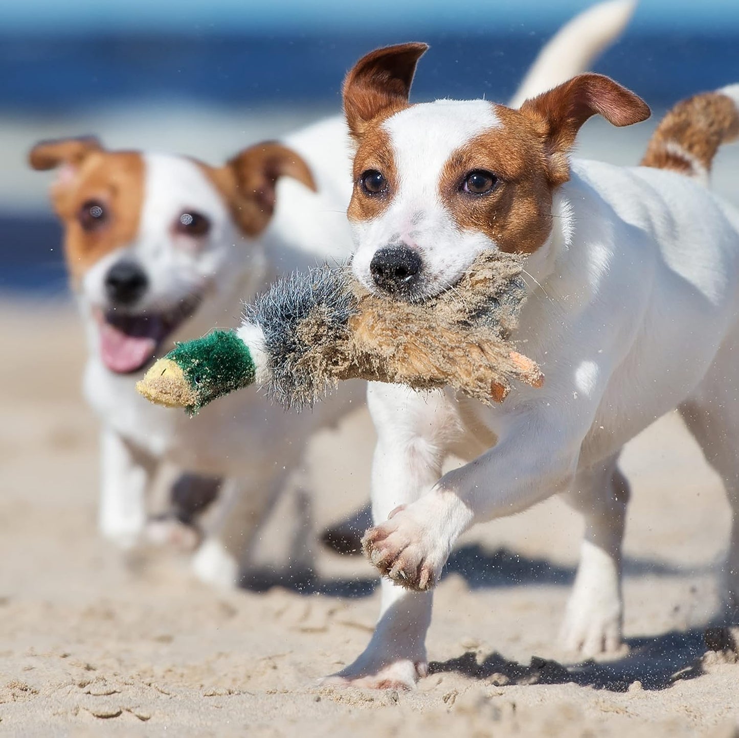 Ruffin' It Woodlands Mallard Stuffed Plush Dog Toy, Large