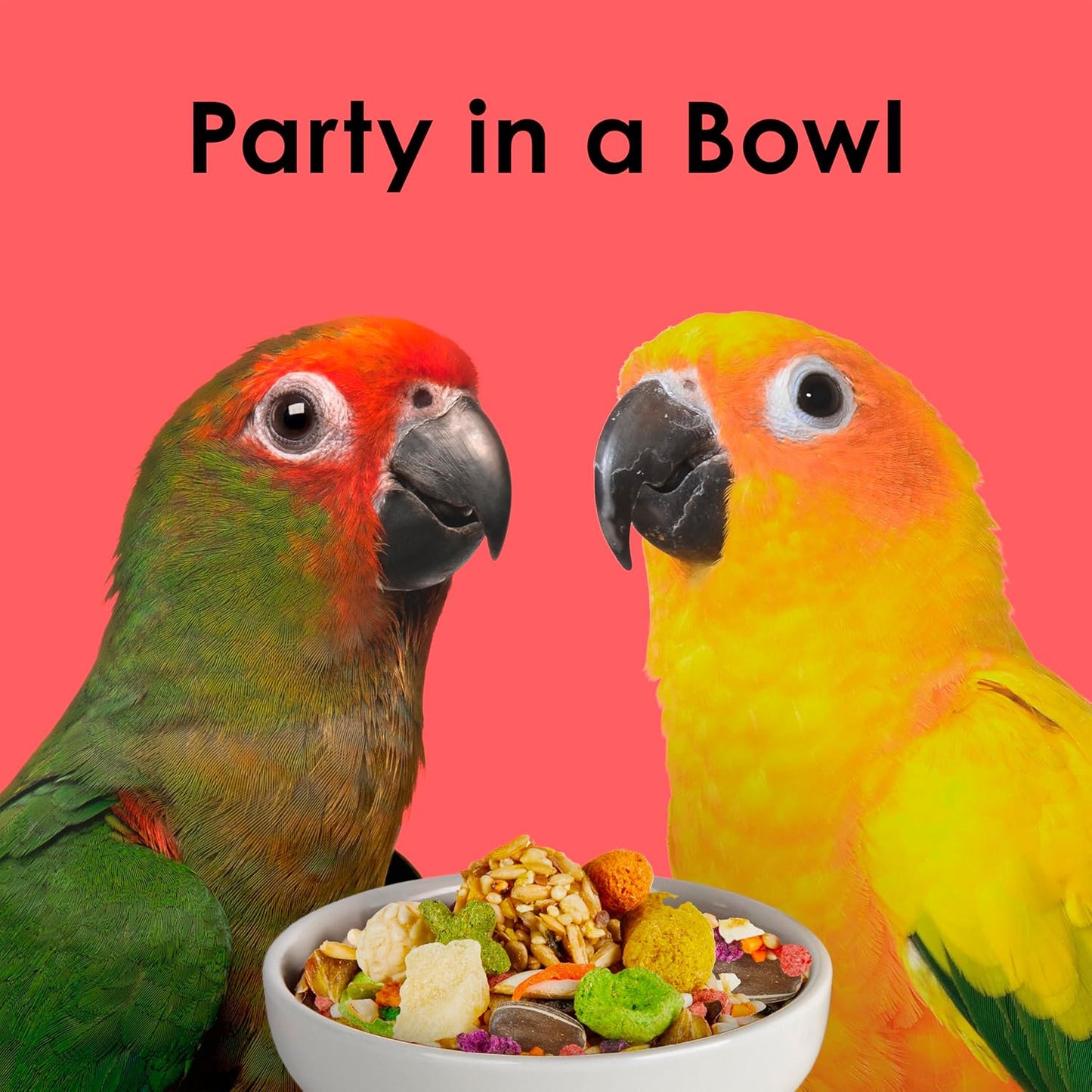 Kaytee Fiesta Conure Food Nutritious Fun Blend for Healthy Feathers