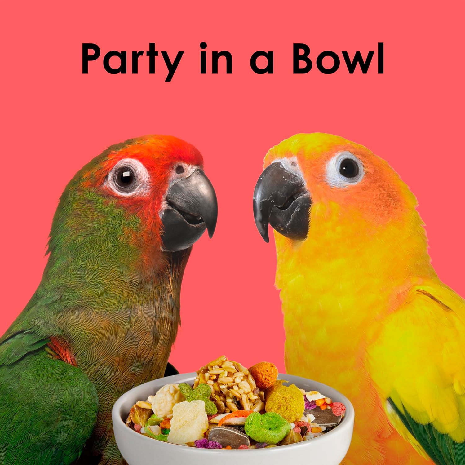 Kaytee Fiesta Conure Food Nutritious Fun Blend for Healthy Feathers