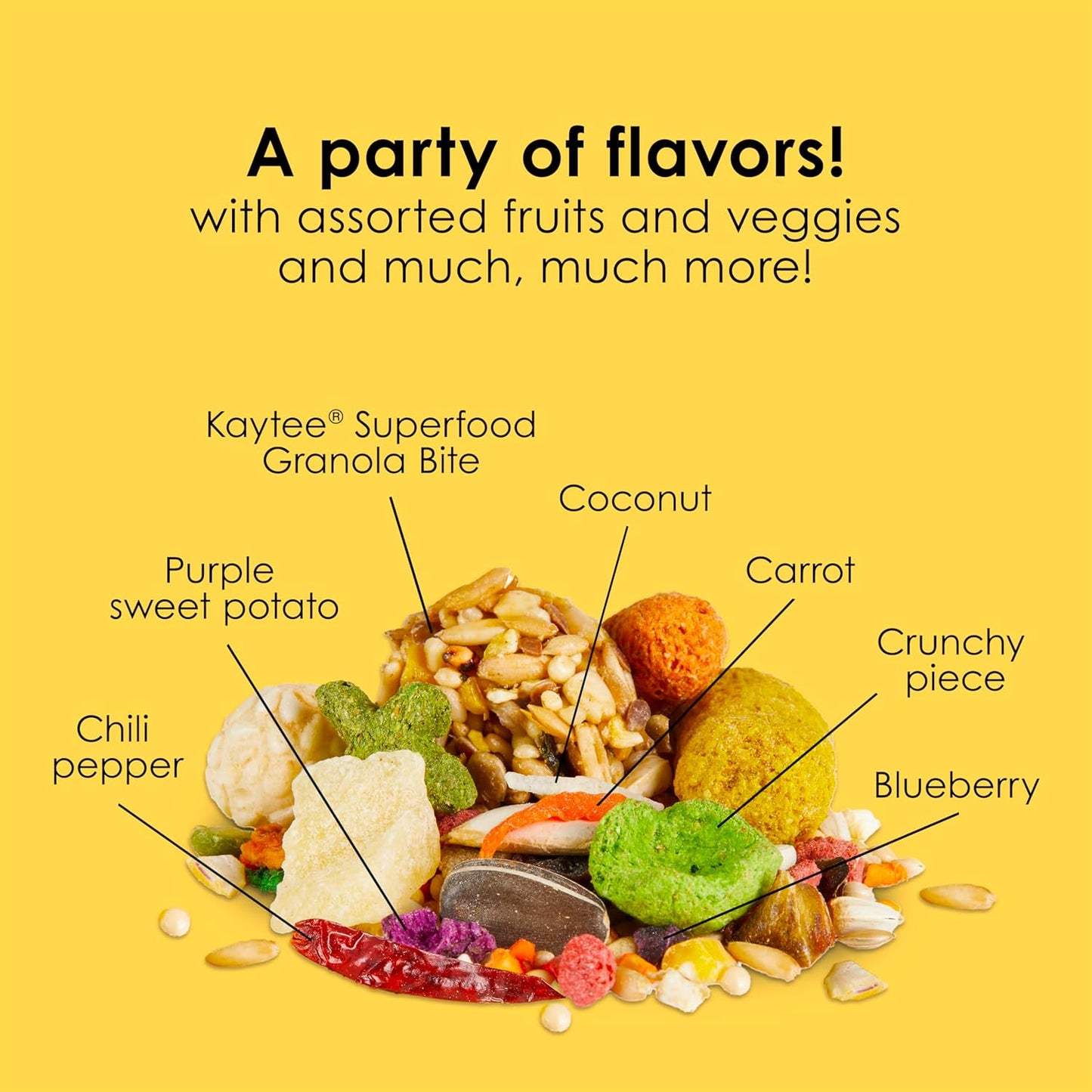 Kaytee Fiesta Conure Food Nutritious Fun Blend for Healthy Feathers