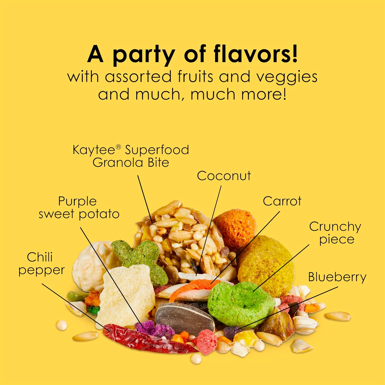 Kaytee Fiesta Conure Food Nutritious Fun Blend for Healthy Feathers