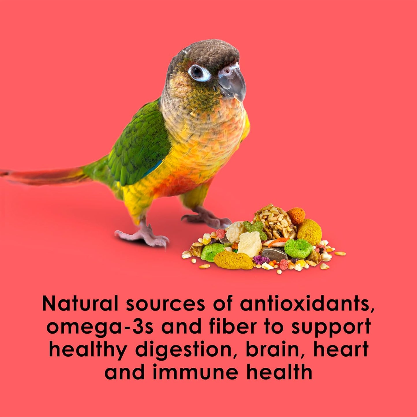 Kaytee Fiesta Conure Food Nutritious Fun Blend for Healthy Feathers