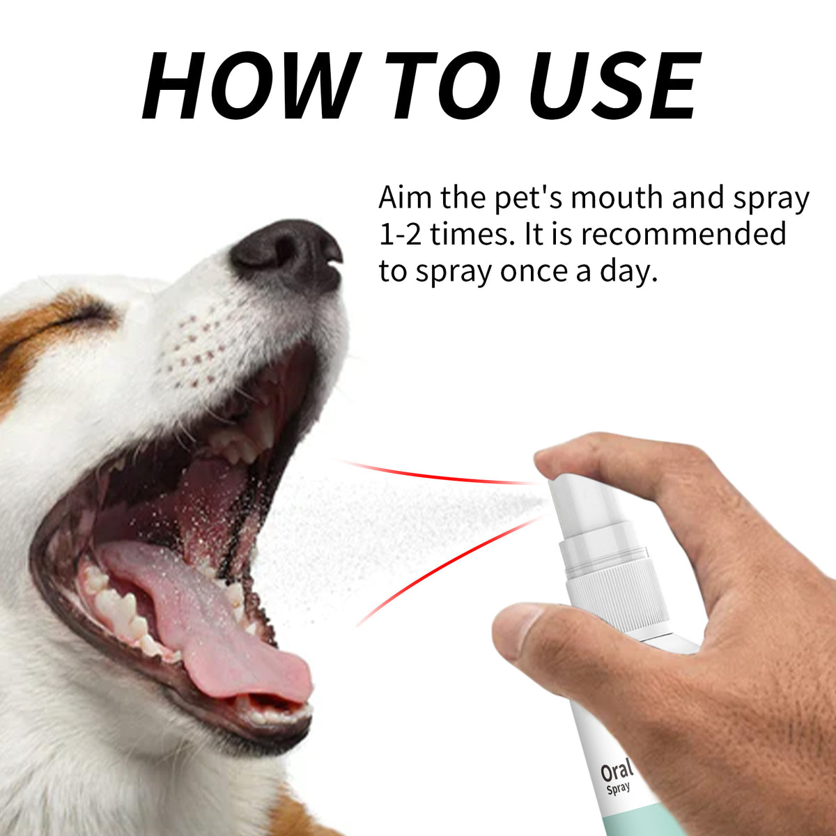 Pet Mint Fresh Breath Spray, Clean Your Dog's Bad Breath Fresh Breath Care
