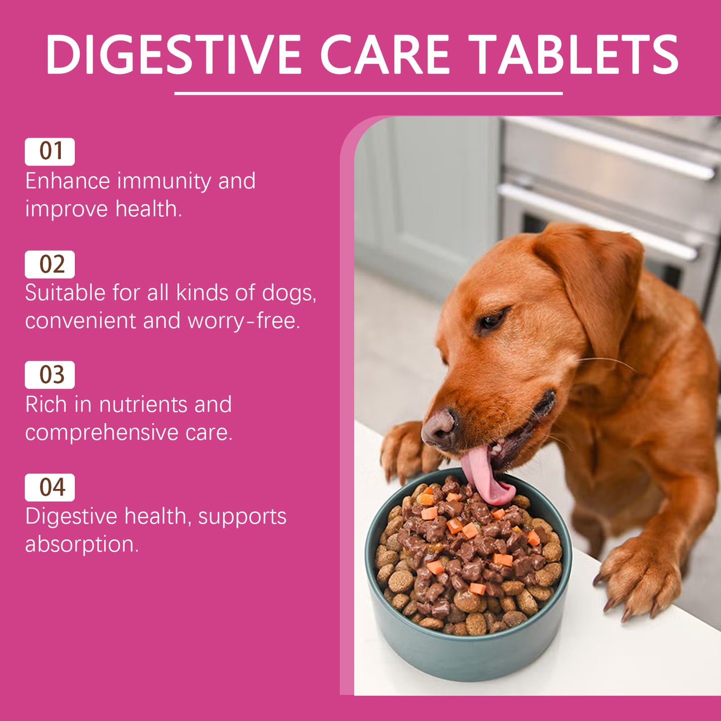 Dog Probiotic Tablets To Improve Intestinal Health, Balance Digestion And Absorption Of Pet Nutritional Supplements