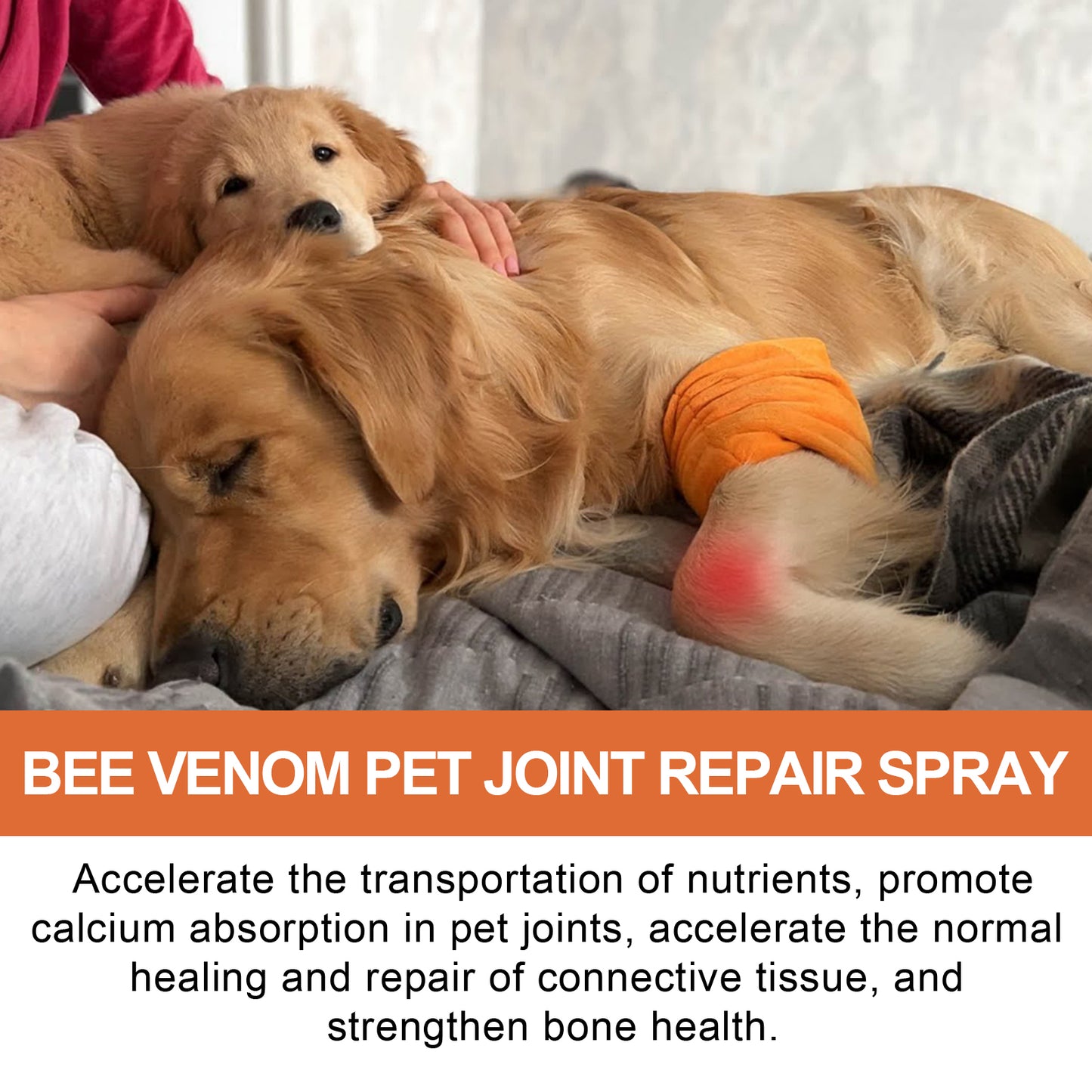 Pet Joint Repair Spray, Relieve Pet Joint Discomfort Muscle Weakness Pet Joint Care Spray