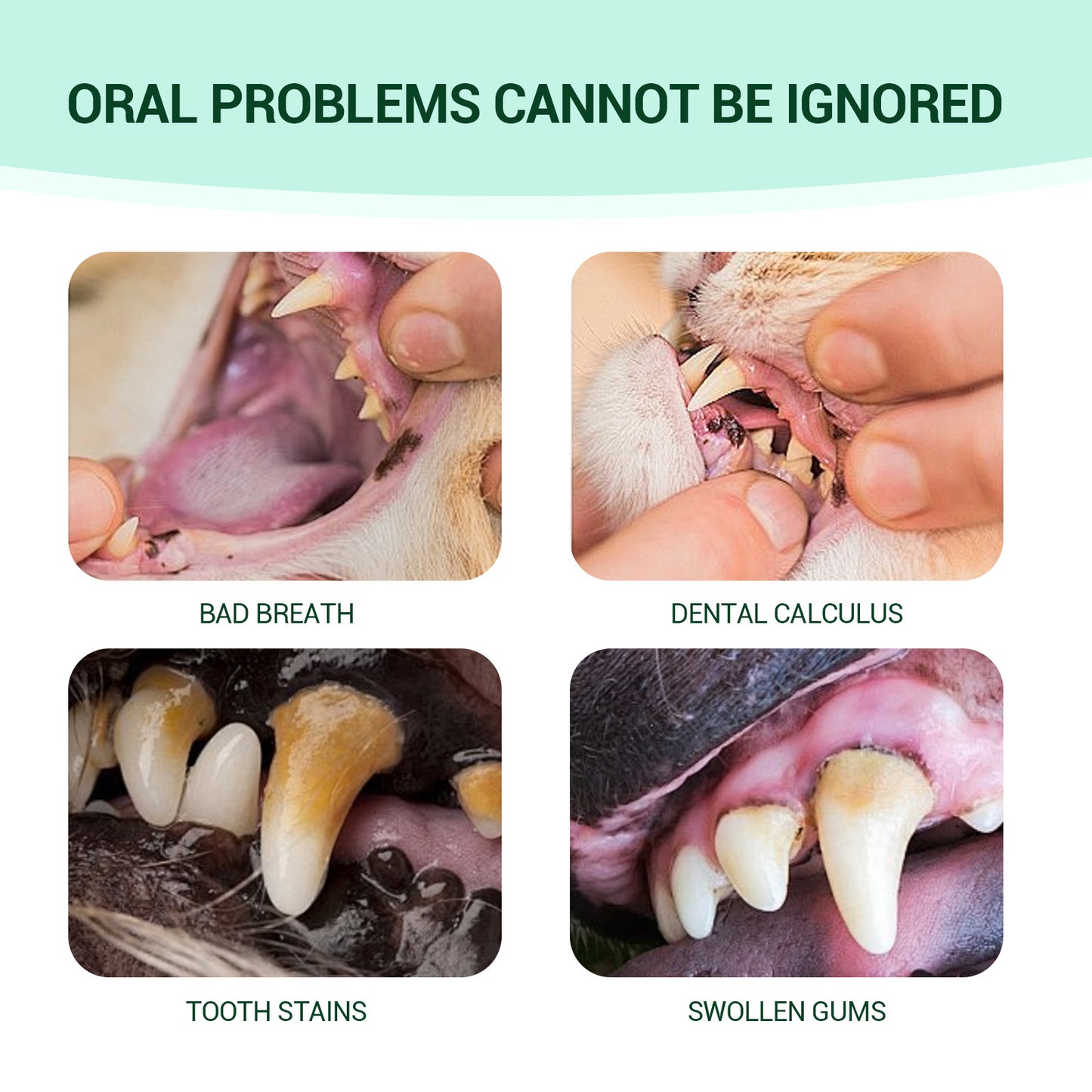 Yegbong Pet Fresh Breath Cleanser Teeth Water Dog Dog Cat Tooth Stains Mouth Cleaning Ear Canal Odor Cleaning Earwax