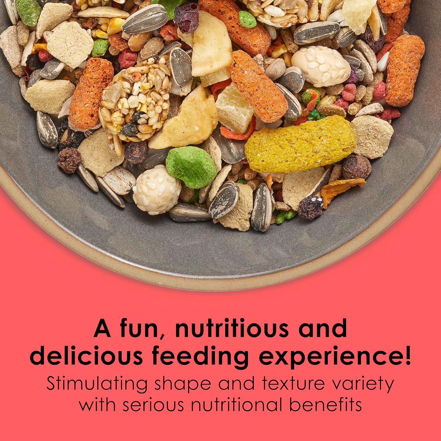 Kaytee Fiesta Conure Food Nutritious Fun Blend for Healthy Feathers