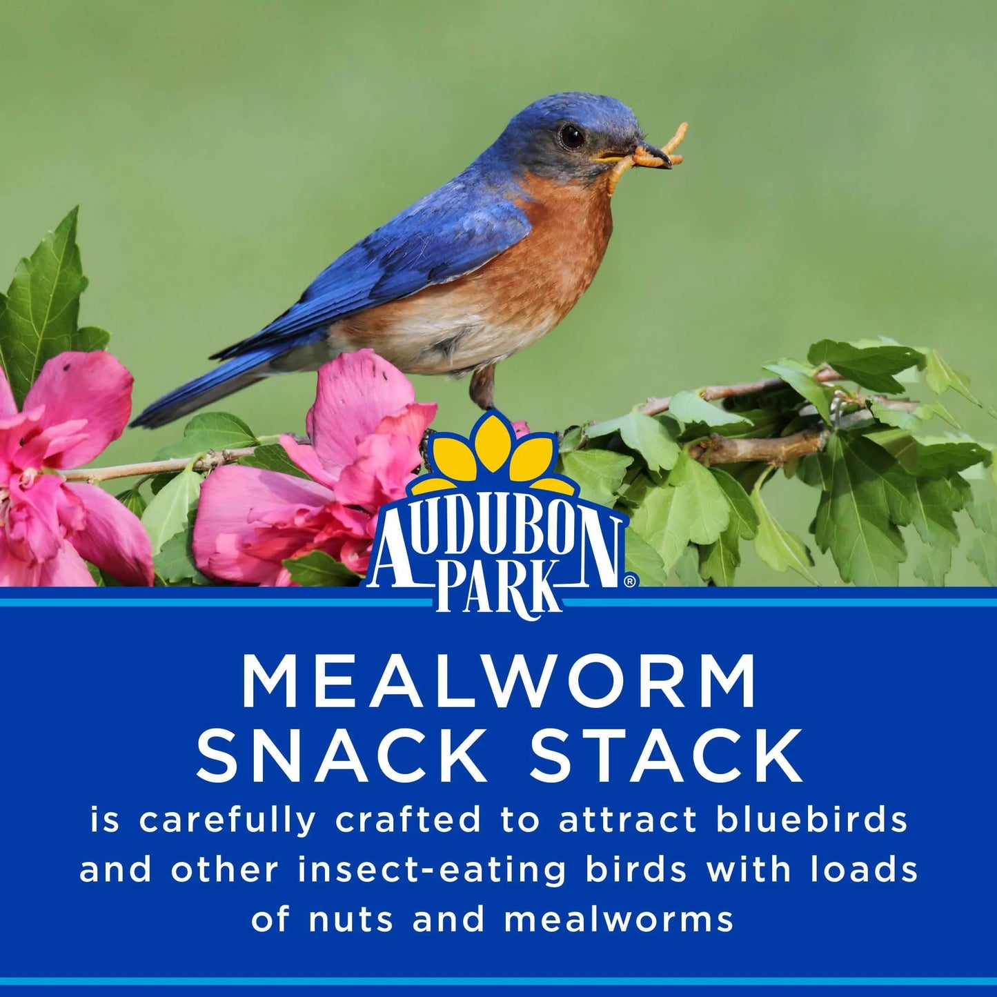 (2 Pack)  Mealworm Snack Stack Wild Bird Food, Dry, 1 Count per Pack, 7 Oz.