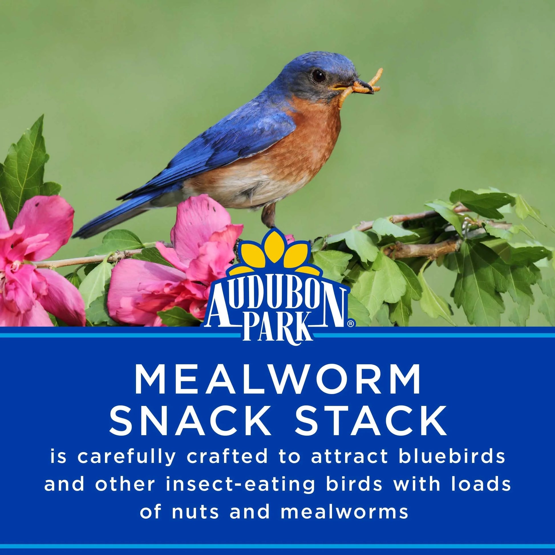 (2 Pack)  Mealworm Snack Stack Wild Bird Food, Dry, 1 Count per Pack, 7 Oz.