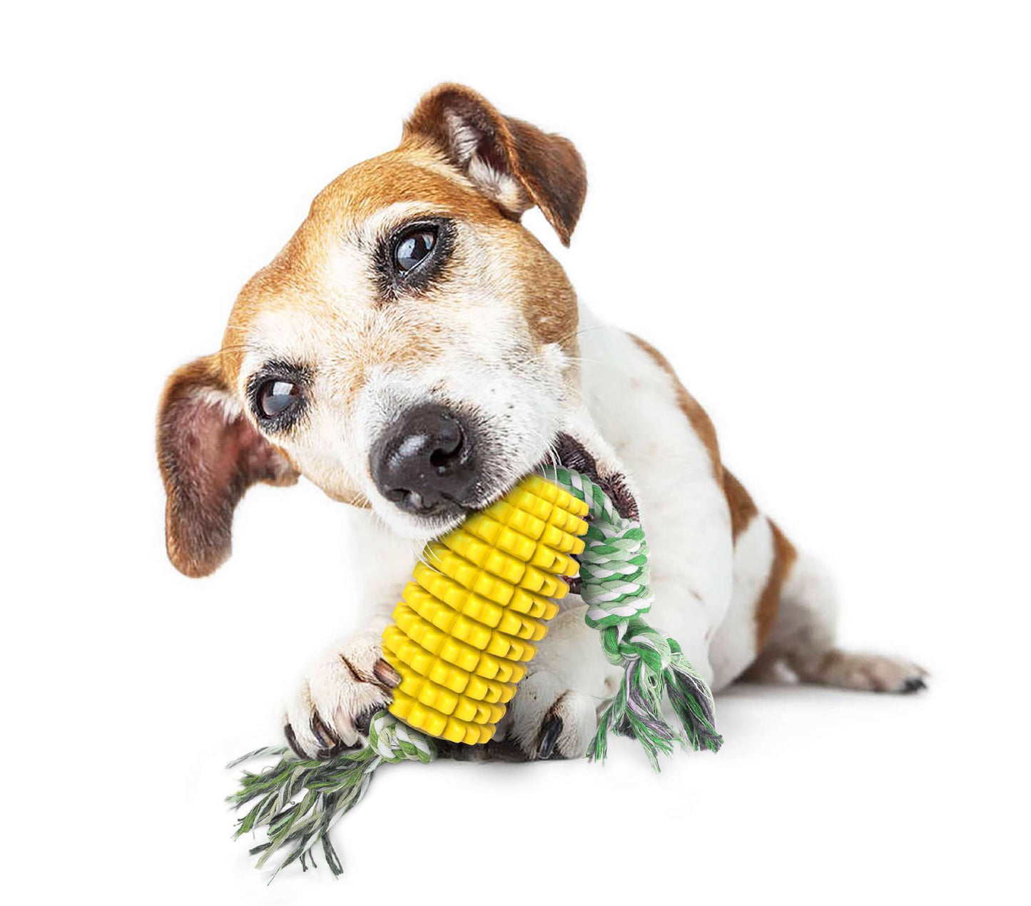 Pet Supplies Dog Toys Molar Sticks Resistant to Bite Clean Teeth Bone Toothbrush Corn Belt Rope