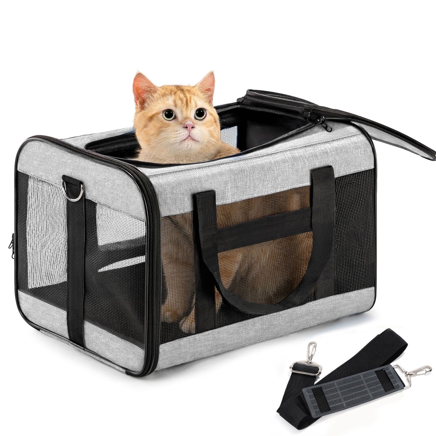 Conlun Large Foldable Pet Carrier: Soft-Sided Travel with Safety Leash & Breathable Mesh