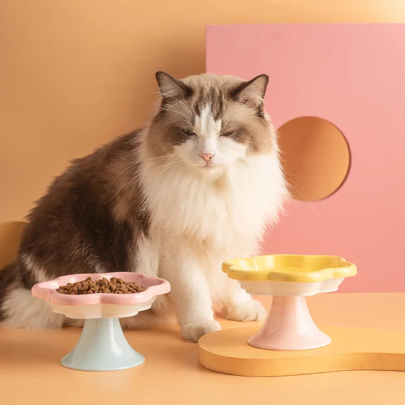 Ceramic Elevated Cat Bowl With Stand For Neck Protection, Raised Flower Design Food Water Plate Snack Dish