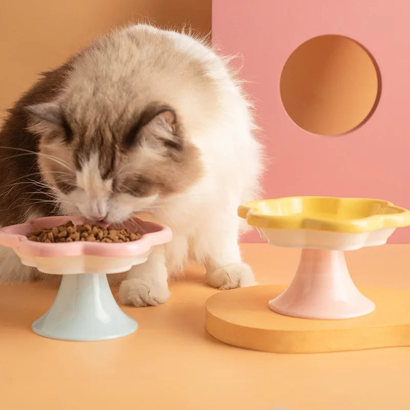 Ceramic Elevated Cat Bowl With Stand For Neck Protection, Raised Flower Design Food Water Plate Snack Dish