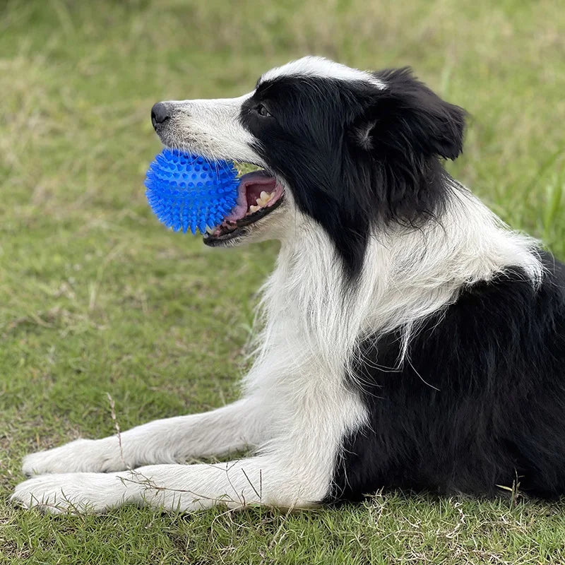 Squeaky Sounding Pet Toy Polka Dot Thorn Teeth Cleaning Ball Safe TPR Bite Resistant Chew Toy Training Interactive Play Ball