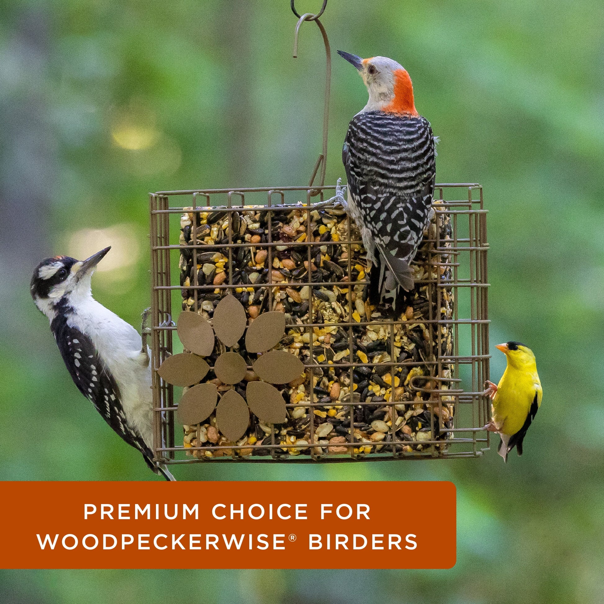 (2 Pack)  Woodpecker Seed Cake Wild Bird Food, Pressed Seed Block, 24 Oz.