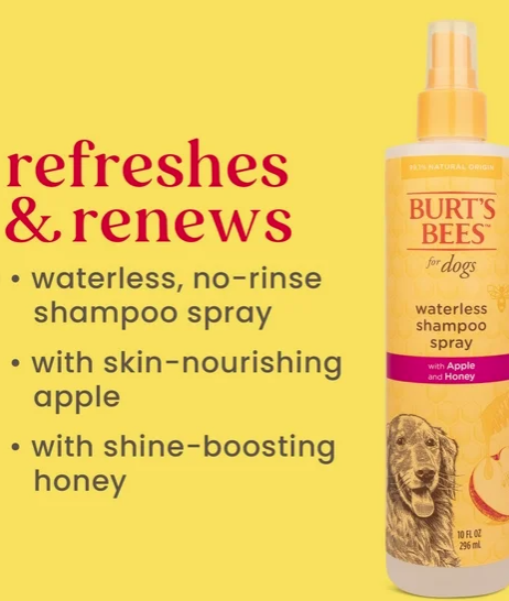 Burt's Bees for Dogs Natural Waterless Shampoo Spray with Apple and Honey | Dry Dog Shampoo for All Dogs and Puppies | Best Puppy and Dog Spray | Cruelty Free, Sulfate & Paraben Free, 10 Ounces