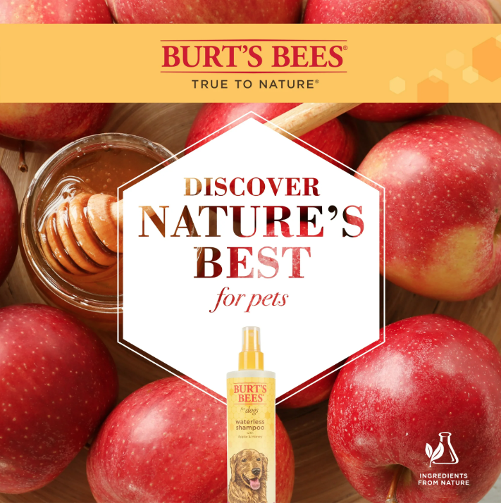 Burt's Bees for Dogs Natural Waterless Shampoo Spray with Apple and Honey | Dry Dog Shampoo for All Dogs and Puppies | Best Puppy and Dog Spray | Cruelty Free, Sulfate & Paraben Free, 10 Ounces