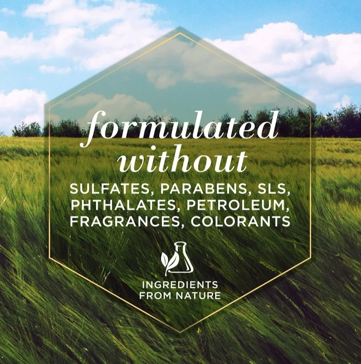 Burt's Bees for Dogs Natural Waterless Shampoo Spray with Apple and Honey | Dry Dog Shampoo for All Dogs and Puppies | Best Puppy and Dog Spray | Cruelty Free, Sulfate & Paraben Free, 10 Ounces