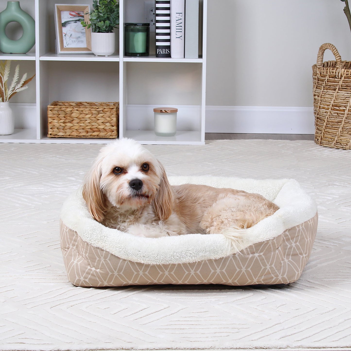 Vibrant Life Small Cozy Cuddler Pet Bed with Lattice Print for Dogs & Cats
