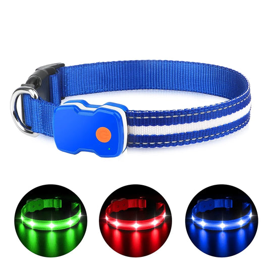 Light up Dog Collar, LED Dog Collar Rechargeable, Pet Dog Collars for Large Dogs, Blue L